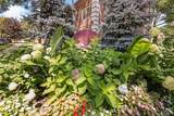 51 Edwards Street - Photo 15