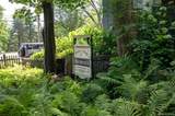 133 Mappa Avenue - Photo 48