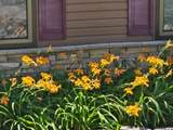 231 Traverse Road - Photo 3