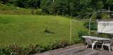 263 Mongaup Road - Photo 27