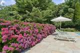 245 Meadows - Photo 47