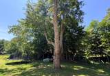 317 Chestnut Street - Photo 20