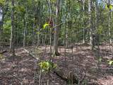  Shore Rd - Photo 11
