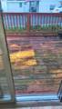 85 Northview Drive - Photo 8