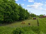 148 Creek Road - Photo 32
