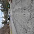 609 Route 208 - Photo 33