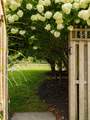 62 Frost Road - Photo 19