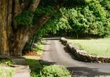 190 Lewis Hollow Road - Photo 43
