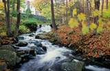 190 Lewis Hollow Road - Photo 45