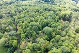 Lot 6 Mt Guardian Road - Photo 13