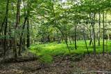 Lot 6 Mt Guardian Road - Photo 8
