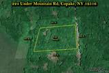 224 Under Mountain Road - Photo 41