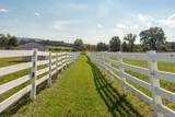 30 Loosestrife Lane - Photo 32