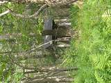  Old Loomis Road - Photo 1