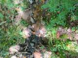  Old Loomis Road - Photo 11