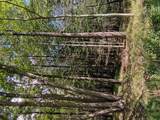  Old Loomis Road - Photo 17