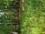  Old Loomis Road - Photo 18