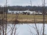225 Robinson Lane - Photo 6