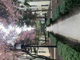 21-58 35th Street - Photo 18