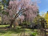 138 Mountain Rest Road - Photo 35