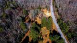 1021 Pine Kill Road - Photo 17