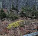 295 Pleasant Valley Road - Photo 5
