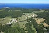 381 Neck Road - Photo 42