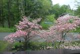 21 Overlook Road - Photo 27