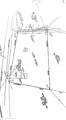 1691 Jackson Corners Road - Photo 13