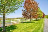535 Upper Brown Road - Photo 17