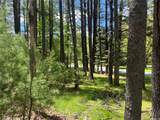 22 Bodine Lake Road - Photo 6