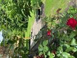 18 Ryerson Road - Photo 27