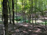 505-1 Pumpkin Lane - Photo 11