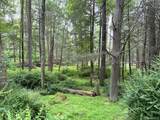 131 Old Plank Road - Photo 3