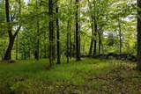 8 Forest Camp Road - Photo 14