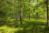 8 Forest Camp Road - Photo 10