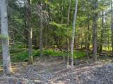 TBD Lot 8 Boulder Brook Road - Photo 12