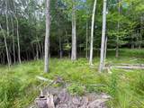TBD Boulder Brook Lot B14 Road - Photo 3