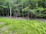 TBD Boulder Brook Lot 13B Road - Photo 4