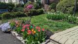 41 Saint Johns Avenue - Photo 39