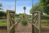 56 Tuthill Point Road - Photo 30