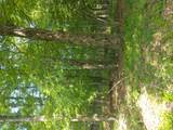  Old Loomis Road - Photo 7