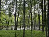 3 Old Country Road - Photo 16