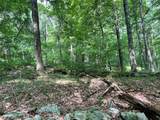 0 Fiddler's Bridge/Schoolhouse Rd - Photo 11