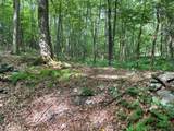 0 Fiddler's Bridge/Schoolhouse Rd - Photo 18