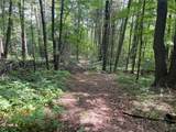 0 Fiddler's Bridge/Schoolhouse Rd - Photo 30