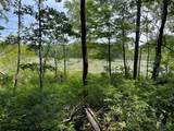 0 Fiddler's Bridge/Schoolhouse Rd - Photo 48