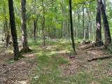 0 Fiddler's Bridge/Schoolhouse Rd - Photo 8