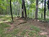 0 Fiddler's Bridge/Schoolhouse Rd - Photo 9