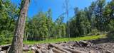 Lot 50 Deep Hollow Hill Road - Photo 14